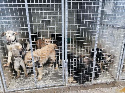 post-31851 thumbnail