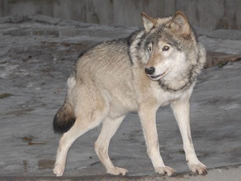 post-20366 thumbnail