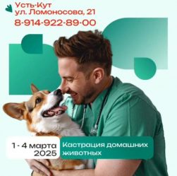 post-20725 thumbnail