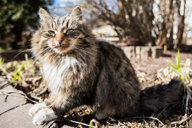 post-21760 thumbnail