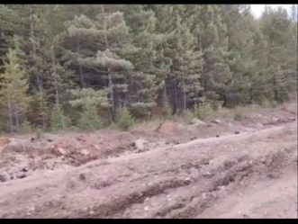 post-24337 thumbnail