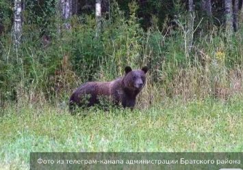 post-24710 thumbnail