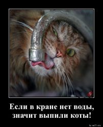 post-31787 thumbnail