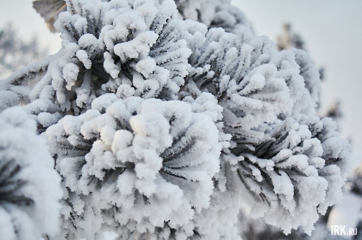 post-32969 thumbnail