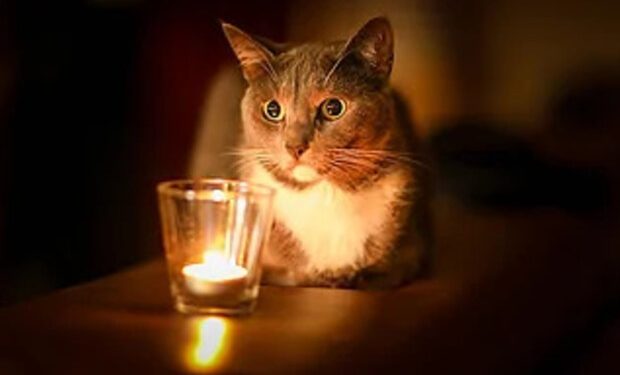 post-33769 thumbnail